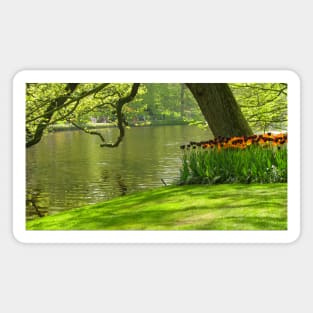 Keukenhof Tulip Festival, Holland Magnet